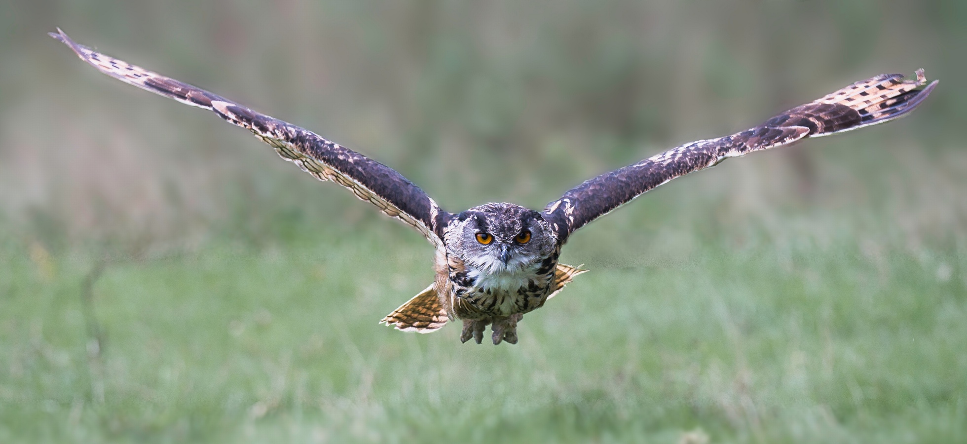 2512-in volle vlucht